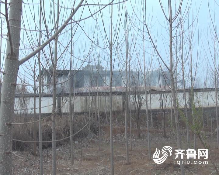济南彩虹湖公园一仓库火灾未造成伤亡 原因正调查