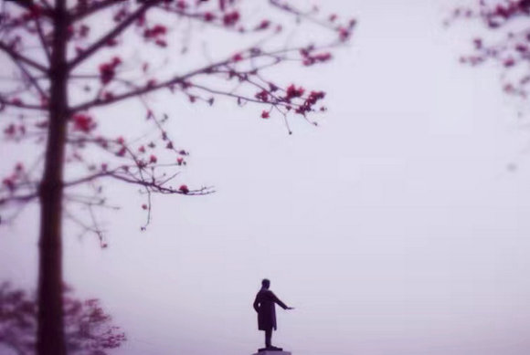 走进博雅学堂:学习诗词格律,感受诗意人生|同学