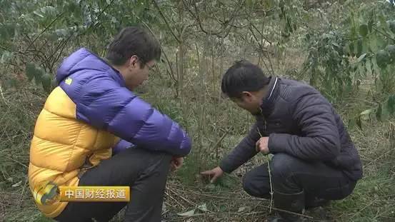 【厉害】中医药产业迎来新机遇! 中国标准 引领