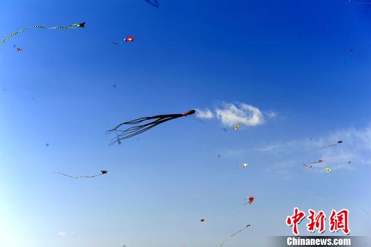 图为天空中飘满五彩缤纷的风筝。 高庆国 摄