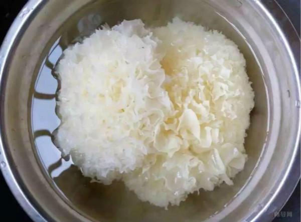 银耳怎么吃最安全 9TTL-fyctevp8280892.jpg