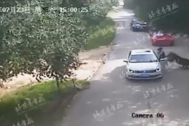 事发时的视频截图
