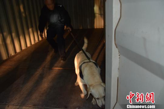 中澳缉毒“火焰”专项行动 索有为 摄