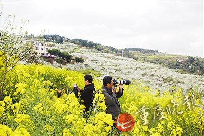8月旅游重庆(12月重庆旅游)(图2) 重庆今明两天好天气继续 偏南地区或有