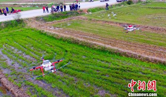 新型植保无人机广泛应用于农药播种、农作物监控、高空作业等领域。3月28日摄 赵春亮 摄