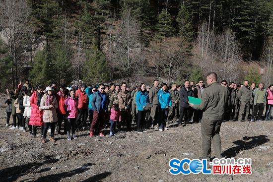 植九寨一棵树,添美景一点绿