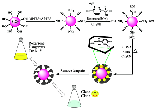 新疆理化所在洛克沙砷分子印迹聚合物研究中取