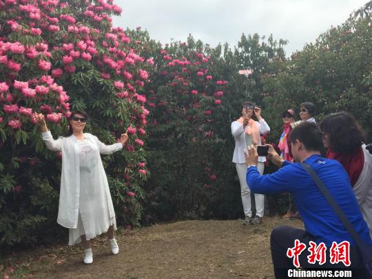 图为祭花神活动引游客合影留念。 杨光振 摄