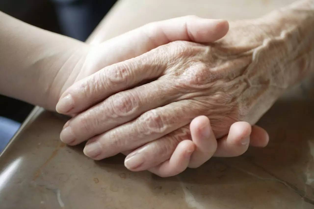 趁还在,好好爱|视觉中国|掌上明珠|丁丁