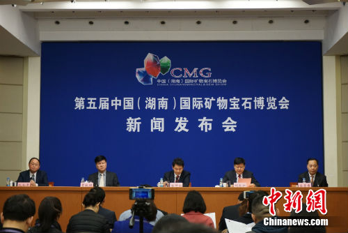 新闻发布会现场。主办方供图