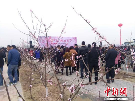 泗阳人口2017_泗阳膘鸡