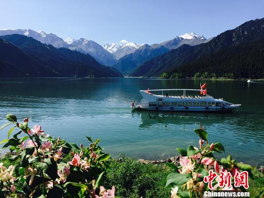 天山天池的夏天芳草萋萋、山花烂漫。 甄梅 摄