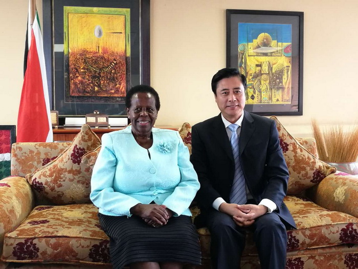 文化部副部长董伟会见南非艺术和文化部副部长