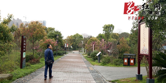 湘潭市岳塘区总人口_湘潭市岳塘区规划图