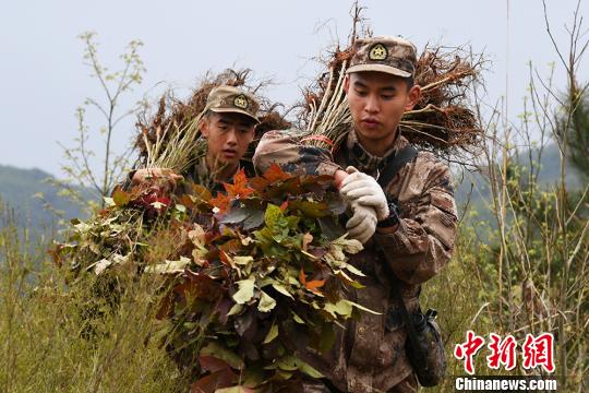 车辆不能到达植树地点,树苗只能靠官兵们扛进去。一周时间里,官兵们共植树11万株。 赖桥泉 摄