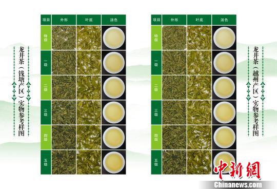 图为龙井茶实物参考样图 浙江省农业厅供图 摄