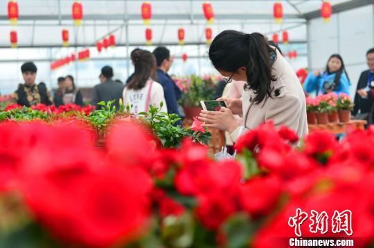 游客在乡土文化节上拍照 钟欣 摄