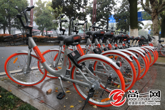 300辆 无桩 共享单车亮相常德街头 市民出行更