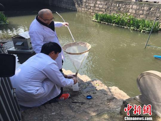 浙江温州“新青年下乡”。 邵燕飞 摄