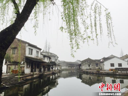 图为东浦黄酒小镇一景 孔雁婷 摄