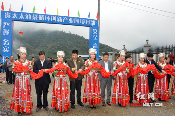 湖南贵太太绥宁油茶产业园投产 助力油茶大县