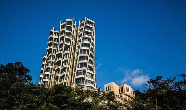 香港占地面积与人口_香港人口增长曲线图(2)