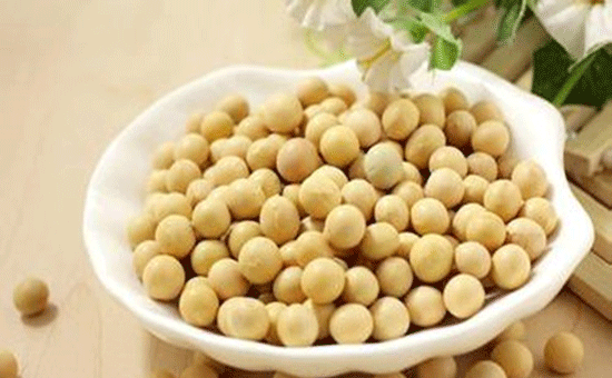 中国首例--今日豆粕商品期权于大连交易所上市