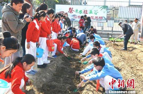 学生们学习耕种粮食、草药。主办方供图