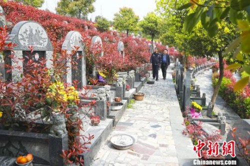 资料图：民众进行扫墓。汪军 摄