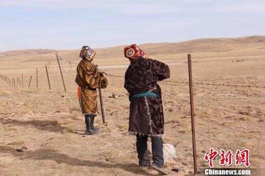 图为管护员正在修复围栏。(资料图) 玛多县委宣传部 摄