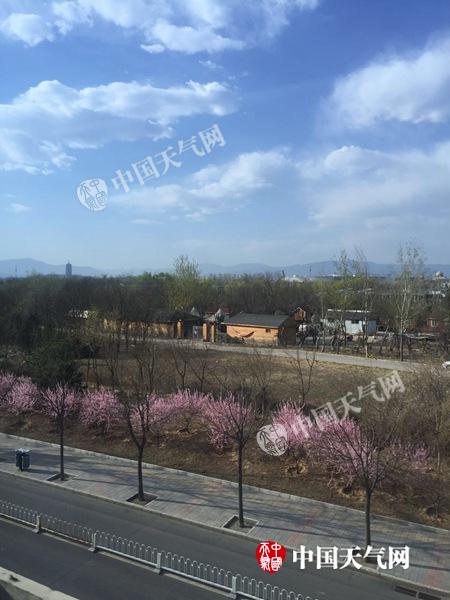 4月1日，北京阳光明媚，春色迷人。