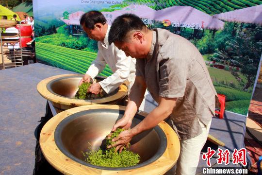 省级非物质文化遗产传承人展示绿茶制作技艺。 卢文伟 摄