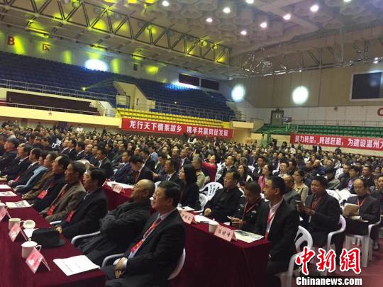 2017世界平阳人大会 李婷婷 摄