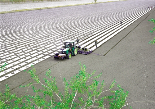 不负好时光 春耕春播忙|紫光学大|李爱民|农药化