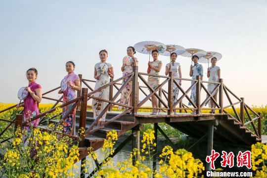图为旗袍爱好者在兴化千垛菜花景区走秀。 汤德宏 摄
