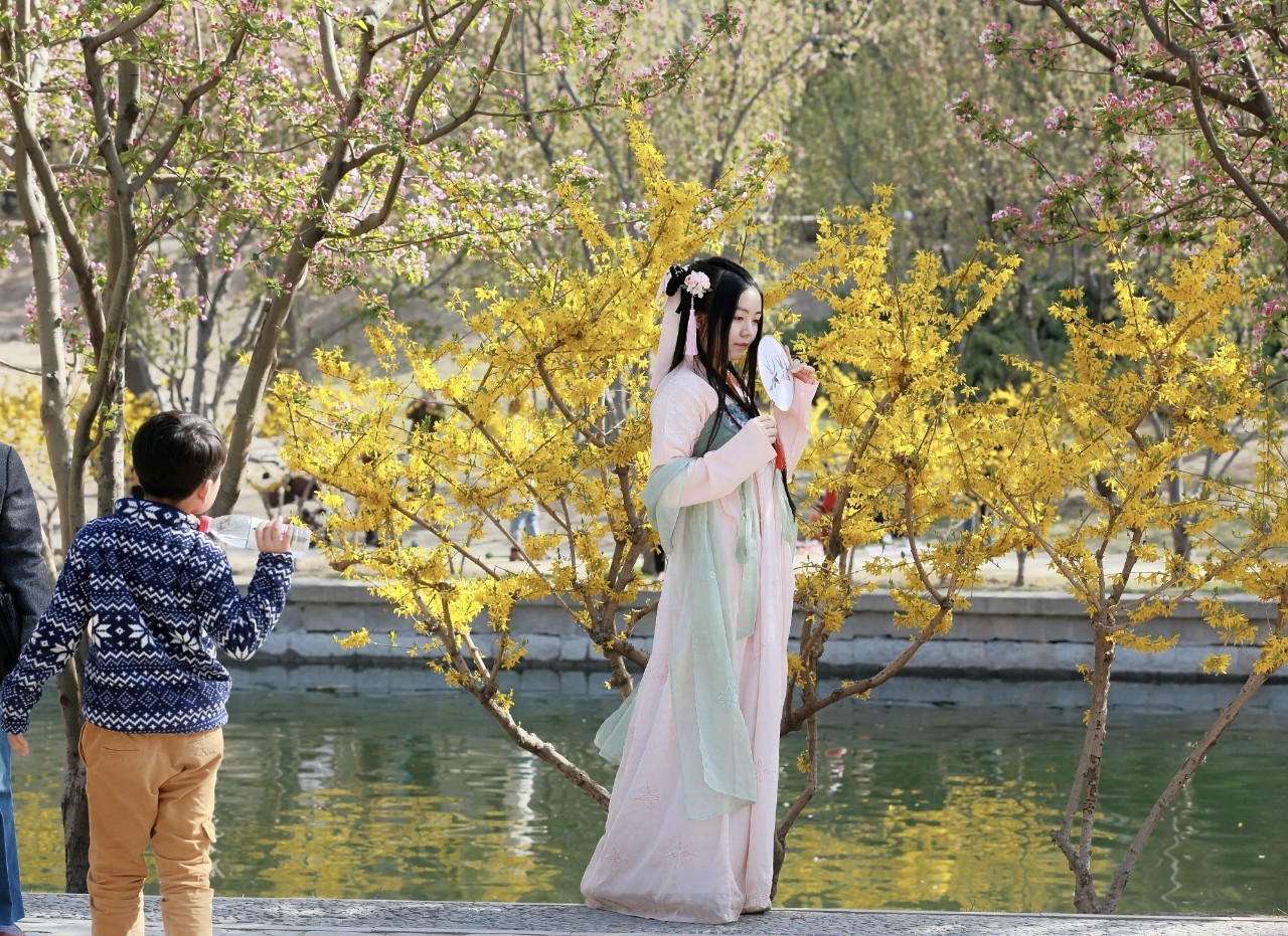 提示 | 明日清明!北方提前进入5月 南方多地雨纷