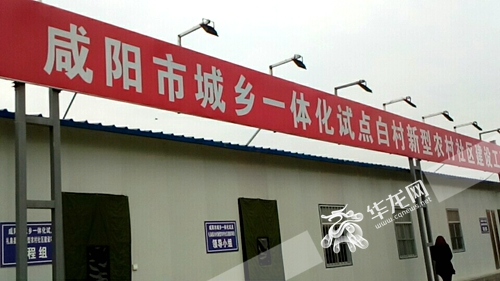 养鸡专业户高琳_养鸡专业户收入