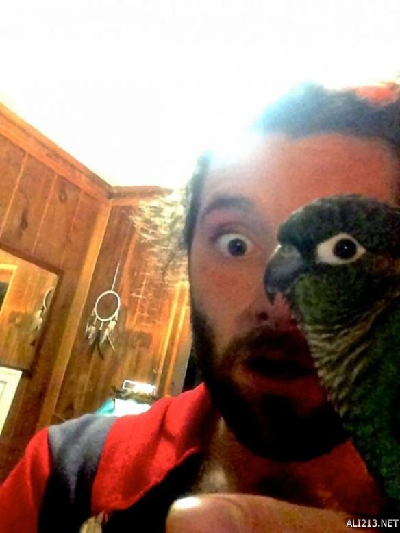 只靠技术是不够的!一生只能拍到一次的超精准