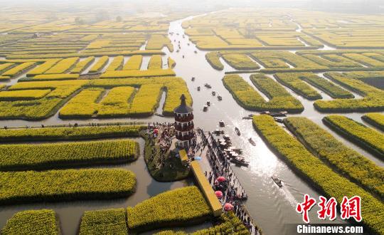图为兴化千垛万亩油菜花盛开,清明小长假人流如潮。 汤德宏 摄