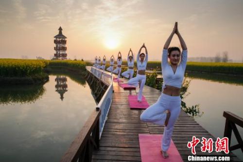 图为瑜伽爱好者在兴化千垛菜花景区表演瑜伽技艺。 汤德宏 摄