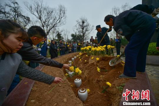 这种安葬方式节地环保 李茜 摄