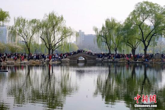 4月2日,清明小长假首日,北京玉渊潭公园迎来赏樱、踏青高峰。图为公园内游客众多。<a target=\'_blank\' href=\'http://www.chinanews.com/\'>中新社</a>记者 李慧思 摄