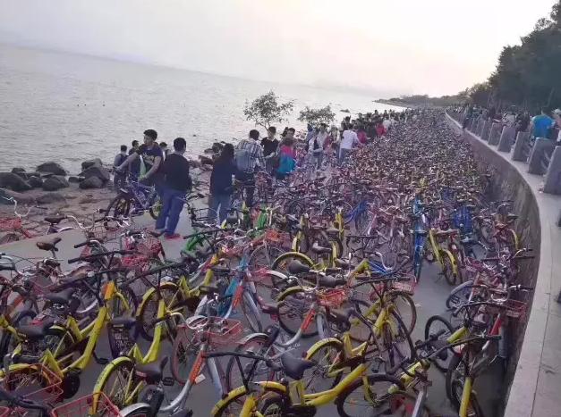 紧急通知:4月4日共享单车禁止进入深圳湾|堵车