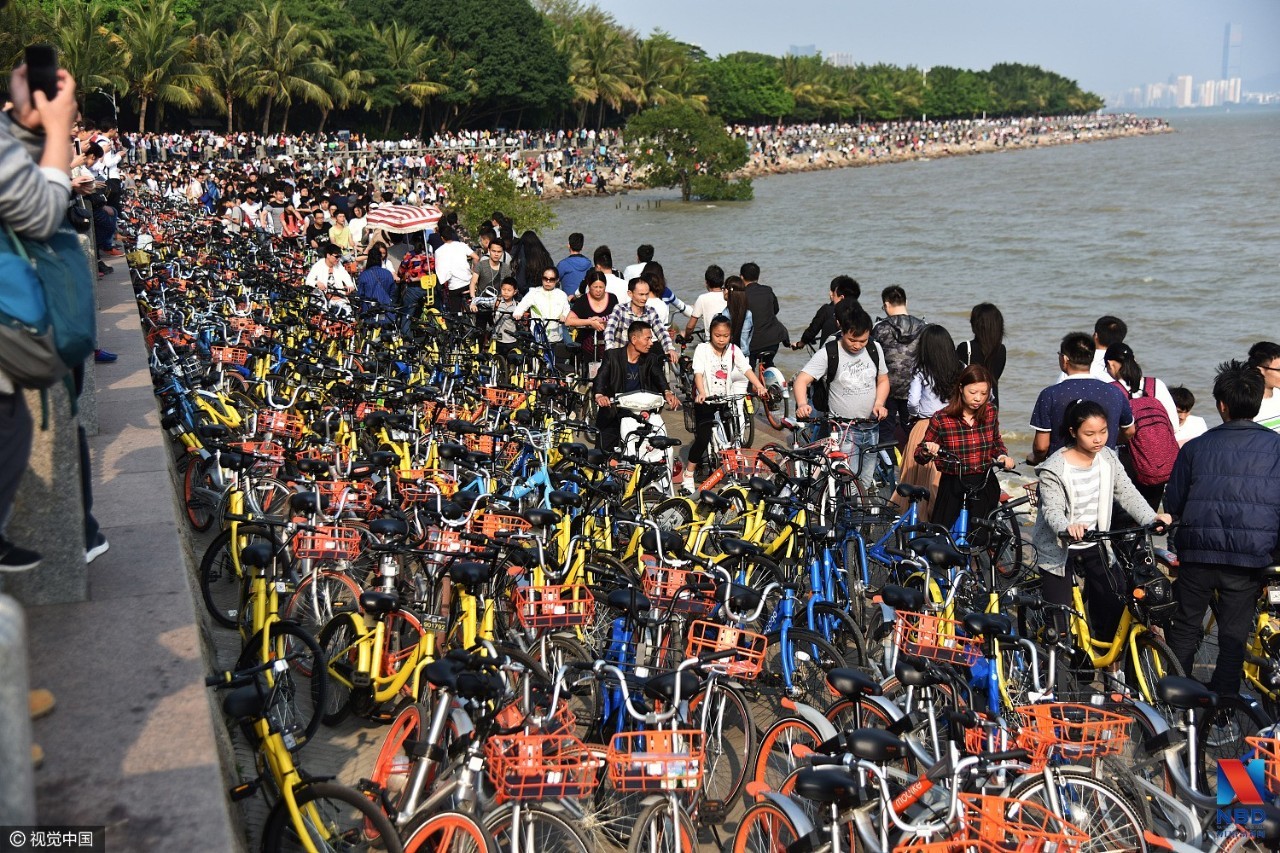 场面震撼!万辆共享单车占领一座公园,游客已无