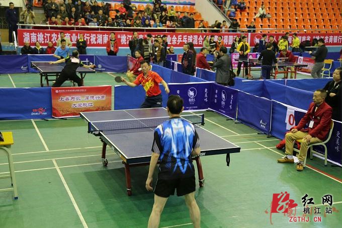 湖南桃花江第二届业余乒乓球混合团体大奖赛举