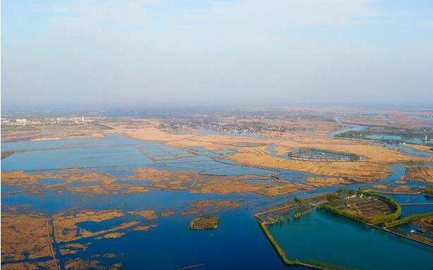 数十家雄安概念股涨停 谁将真正分享雄安红利