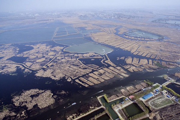 雄安概念股保变电气:目前雄安新区政策无实质