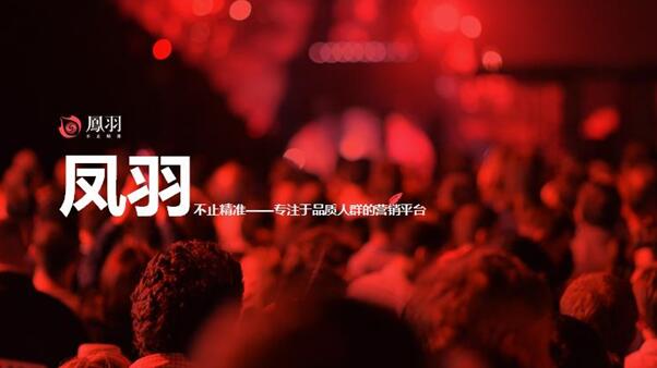 凤羽:精准缔造实效营销|凤凰网|系统|广告