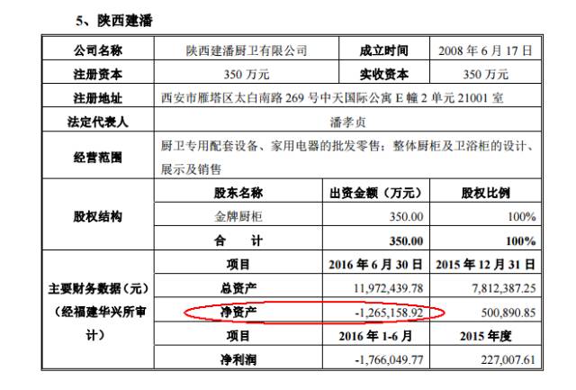 部分控股子公司净资产为负的截图