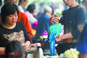 150万人次拜祭 实现无警情、无事故、无投诉|